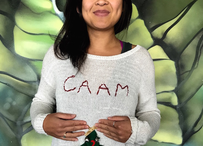 CAAM Happy Holidays 2018